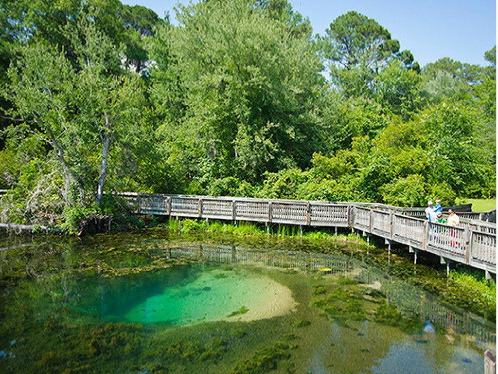 our-adventure-to-magnolia-springs-state-park-millen-georgia-grace