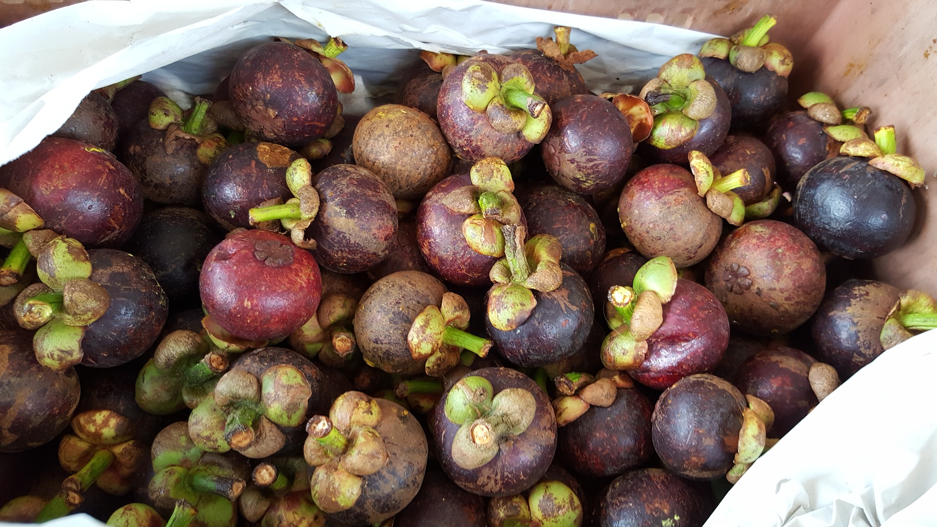 The Amazing Benefits Of Mangosteen Grace For A Gypsy