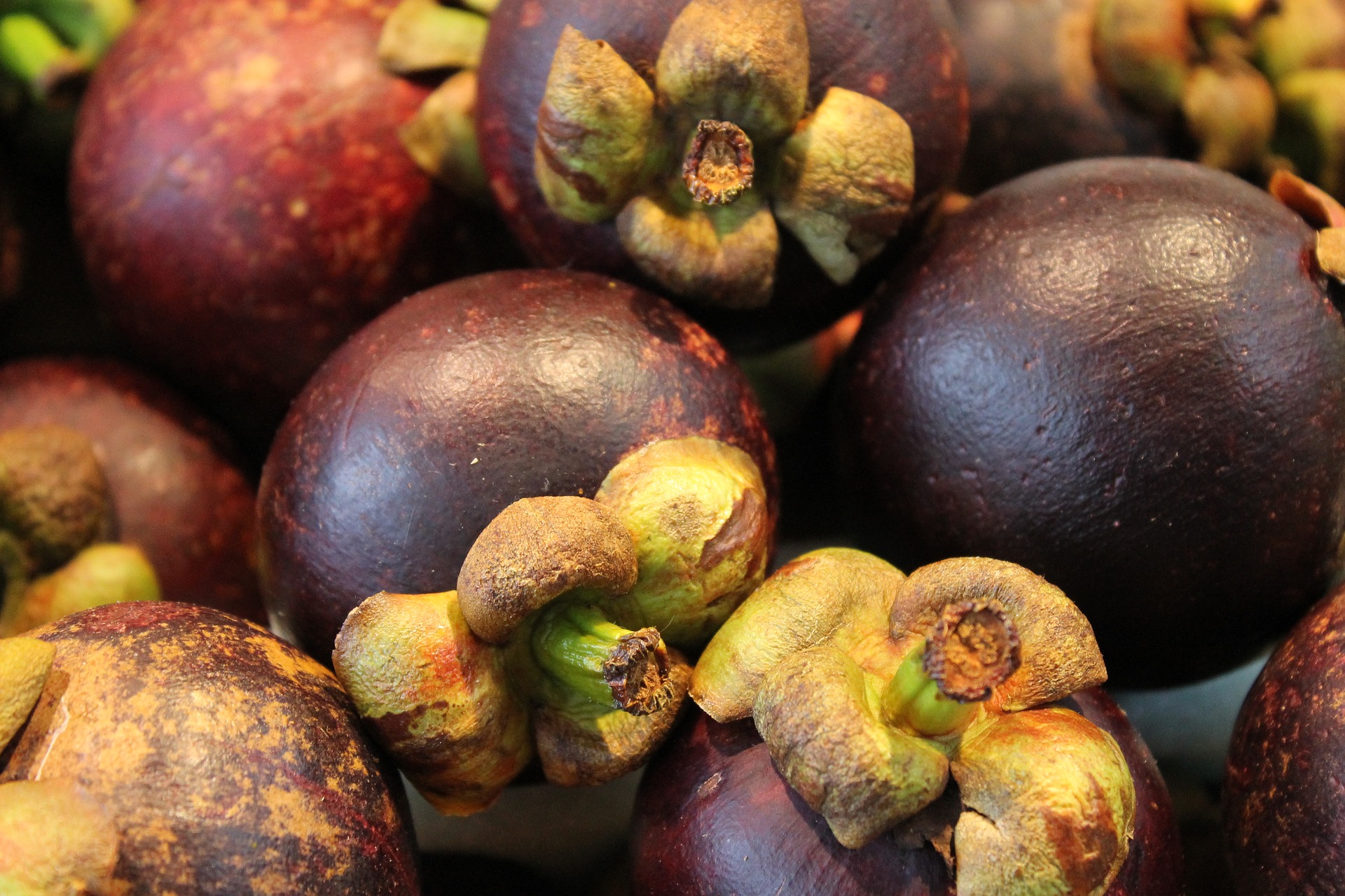 The Amazing Benefits Of Mangosteen - Grace For A Gypsy