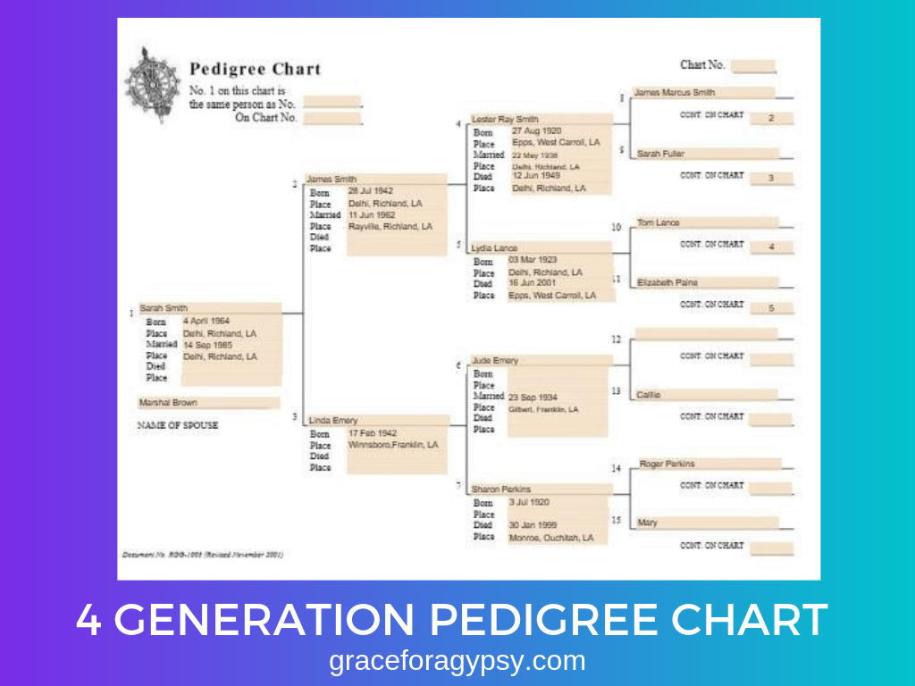 GENEALOGY RESEARCH SERIES: PEDIGREE CHART - Grace For A Gypsy