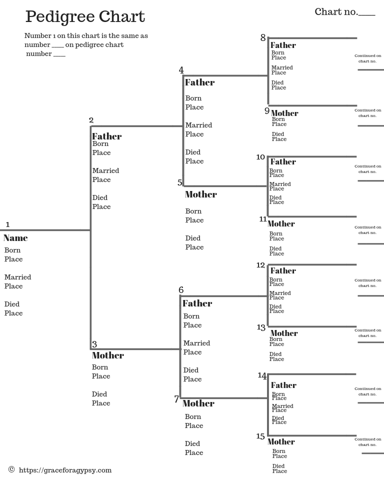 How to fill out pedigree chart