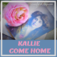 KALLIE COME HOME
