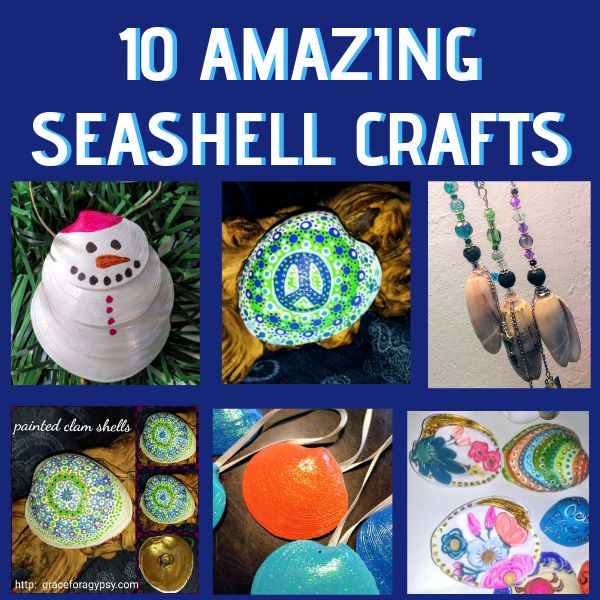 10 Amazing Seashell Crafts