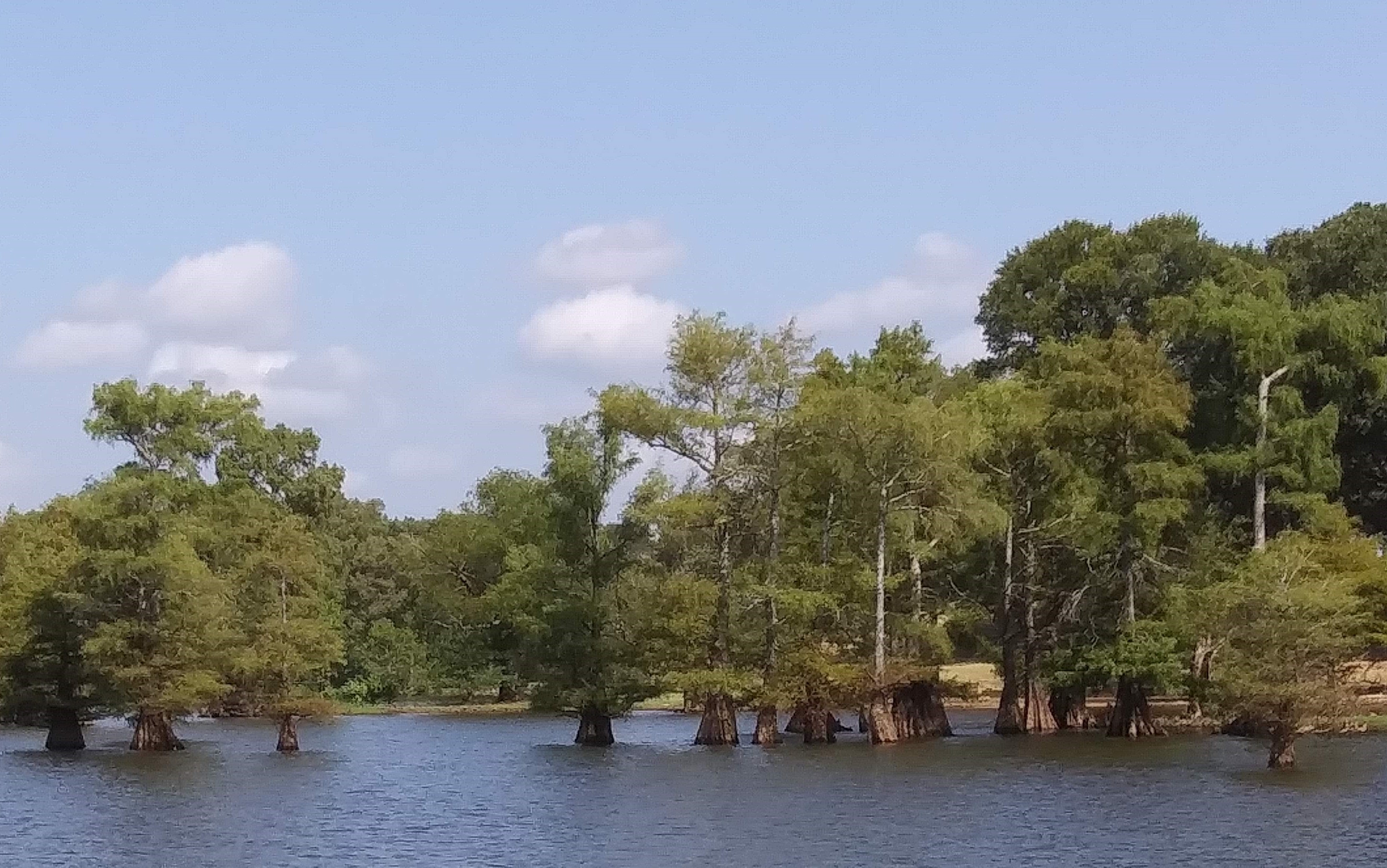 CADDO LAKE OIL CITY LOUISIANA - Grace for a Gypsy